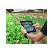 LoRaWAN® Agricultural Monitoring